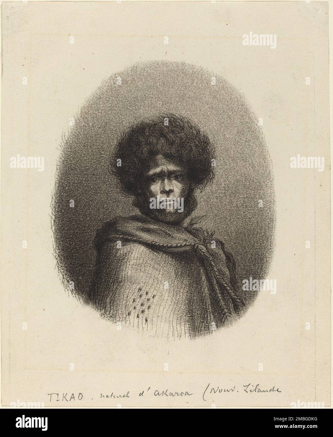 Tikao, naturel d'Akaroa. Foto Stock