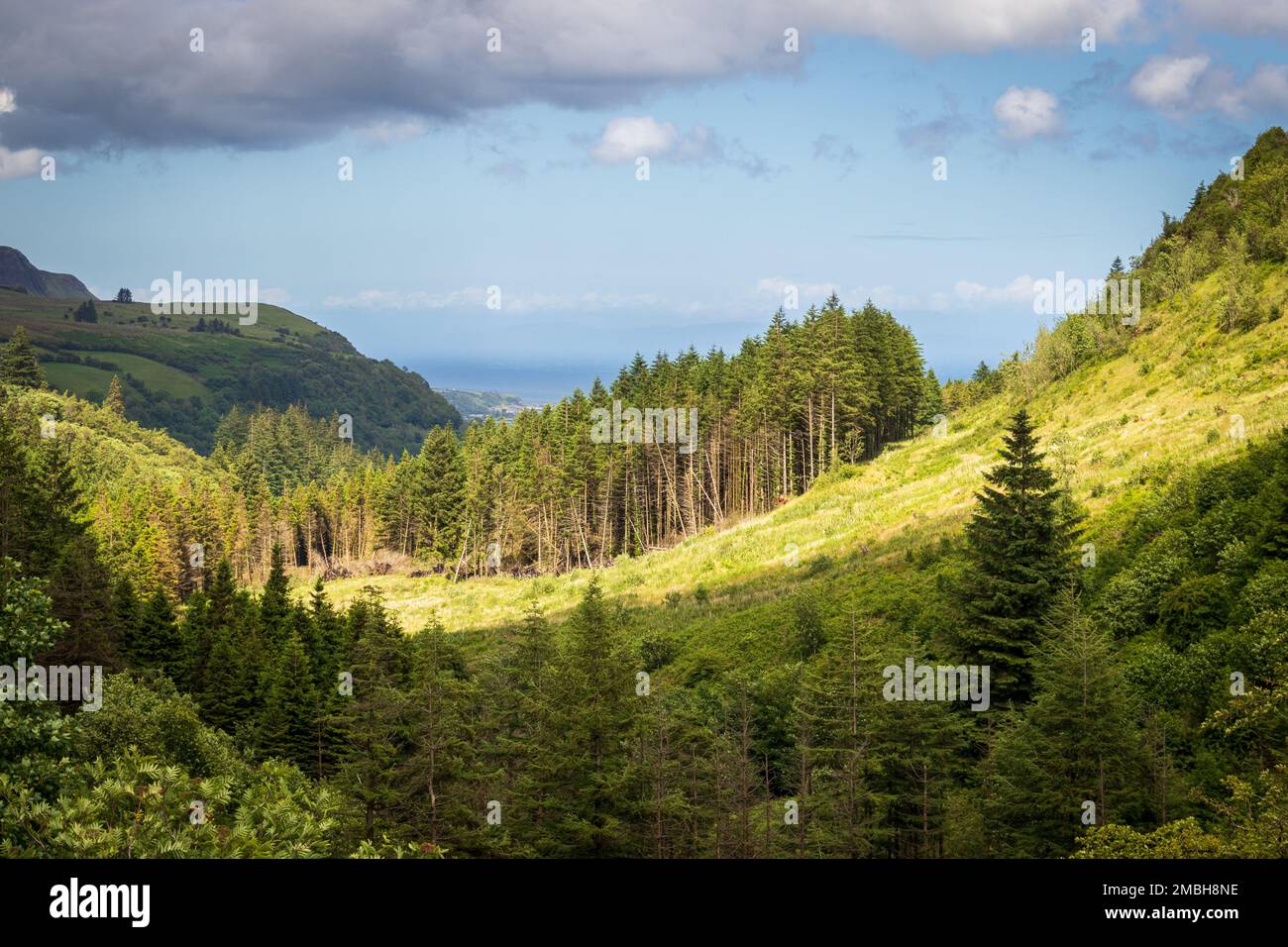 Queen of the Glens, Glenarff Forest Park, Co. Antrim, Irlanda del Nord Foto Stock