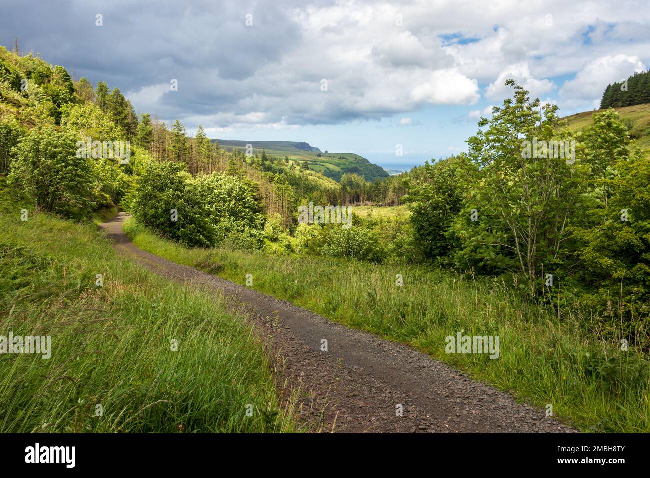 Queen of the Glens, Glenarff Forest Park, Co. Antrim, Irlanda del Nord Foto Stock