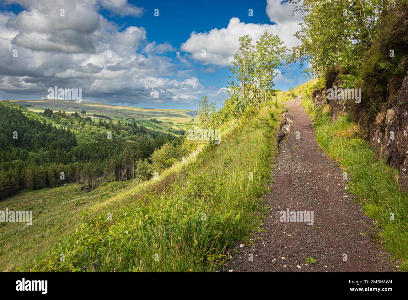 Queen of the Glens, Glenarff Forest Park, Co. Antrim, Irlanda del Nord Foto Stock