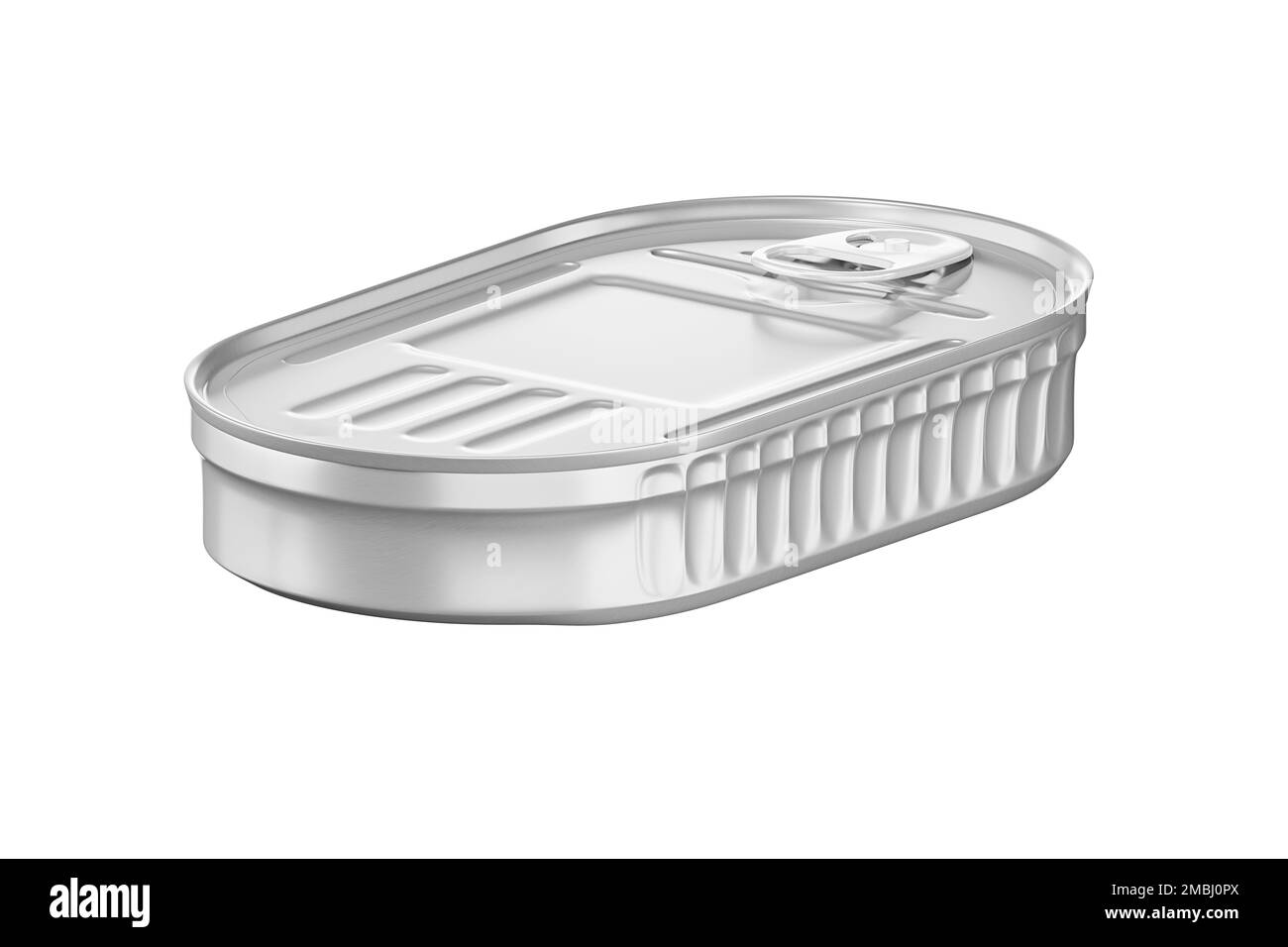 Lattina per il nuovo design con testo, rendering 3D, template, vista di pesci inscatolati in contenitore ovale argentato closeup, isolato su sfondo bianco Foto Stock