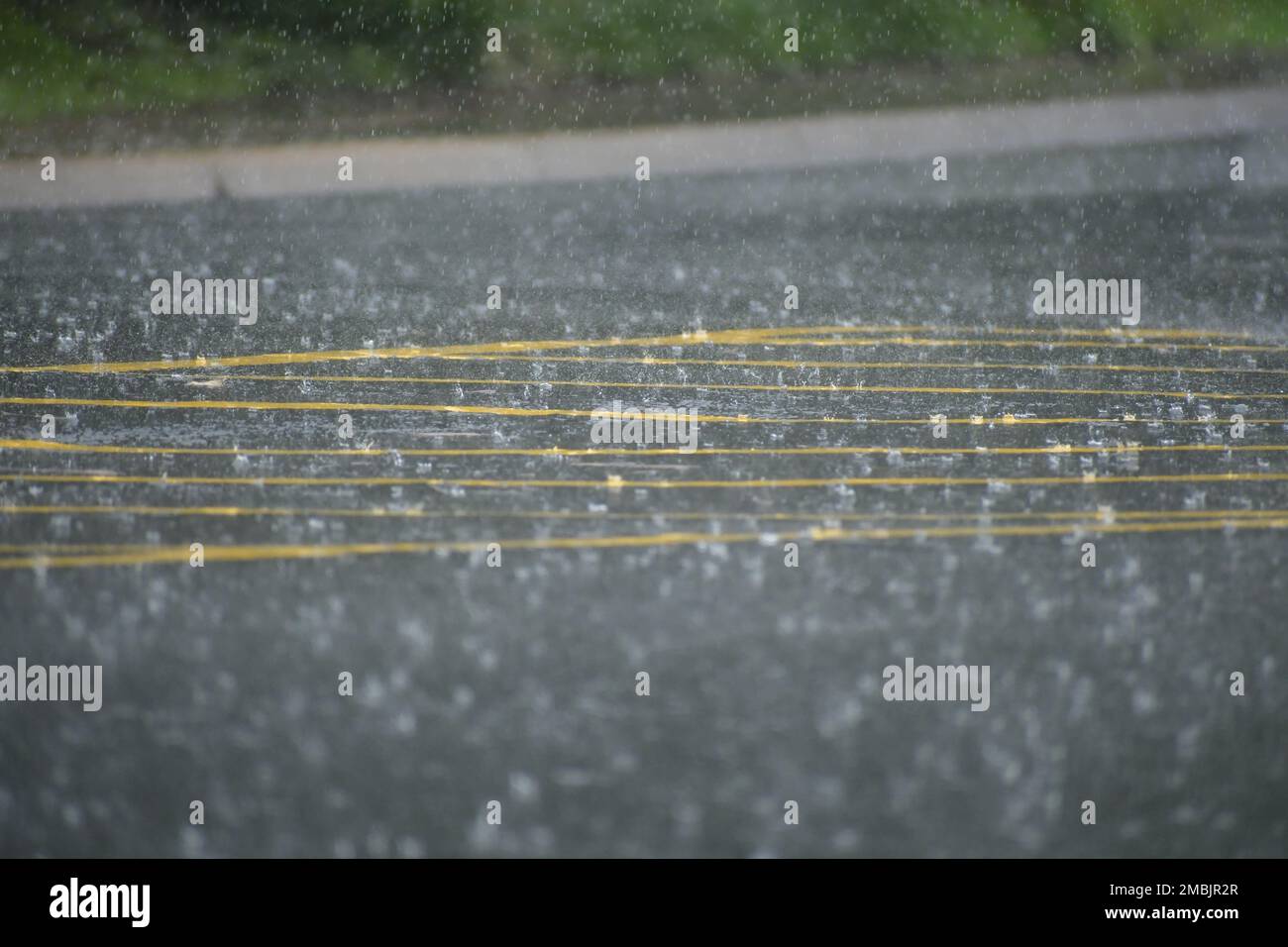 Una moltitudine di gocce di pioggia che cadono su una strada con linee di resa gialle e luminose in primavera Foto Stock
