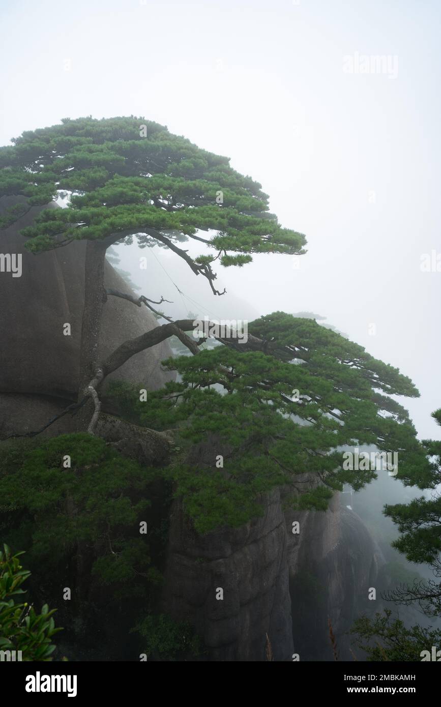 Anhui huangshan paesaggio montano Foto Stock