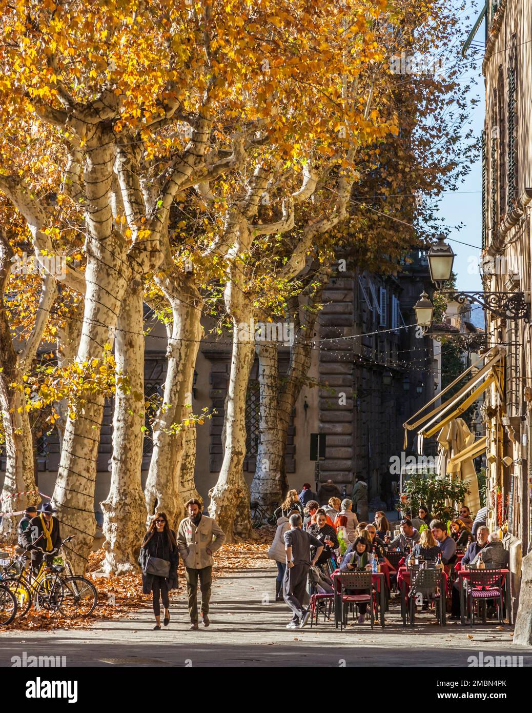 Caffè cultura in un pomeriggio autunnale in Piazza Napoleone, Lucca, Toscana, Italia. Foto Stock