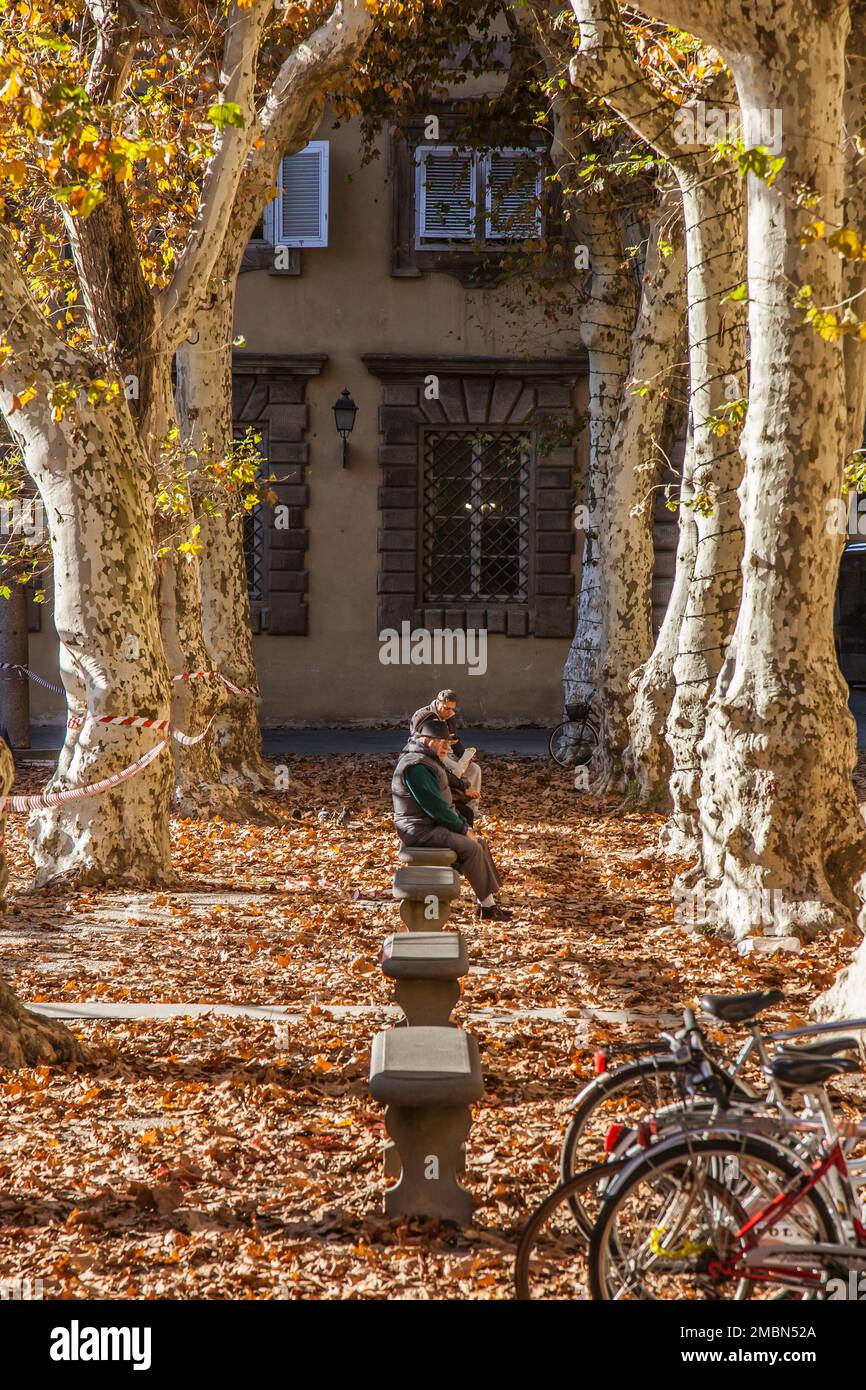 Godendo del sole tardo autunnale, Piazza Napoleone, Lucca, Toscana. Foto Stock