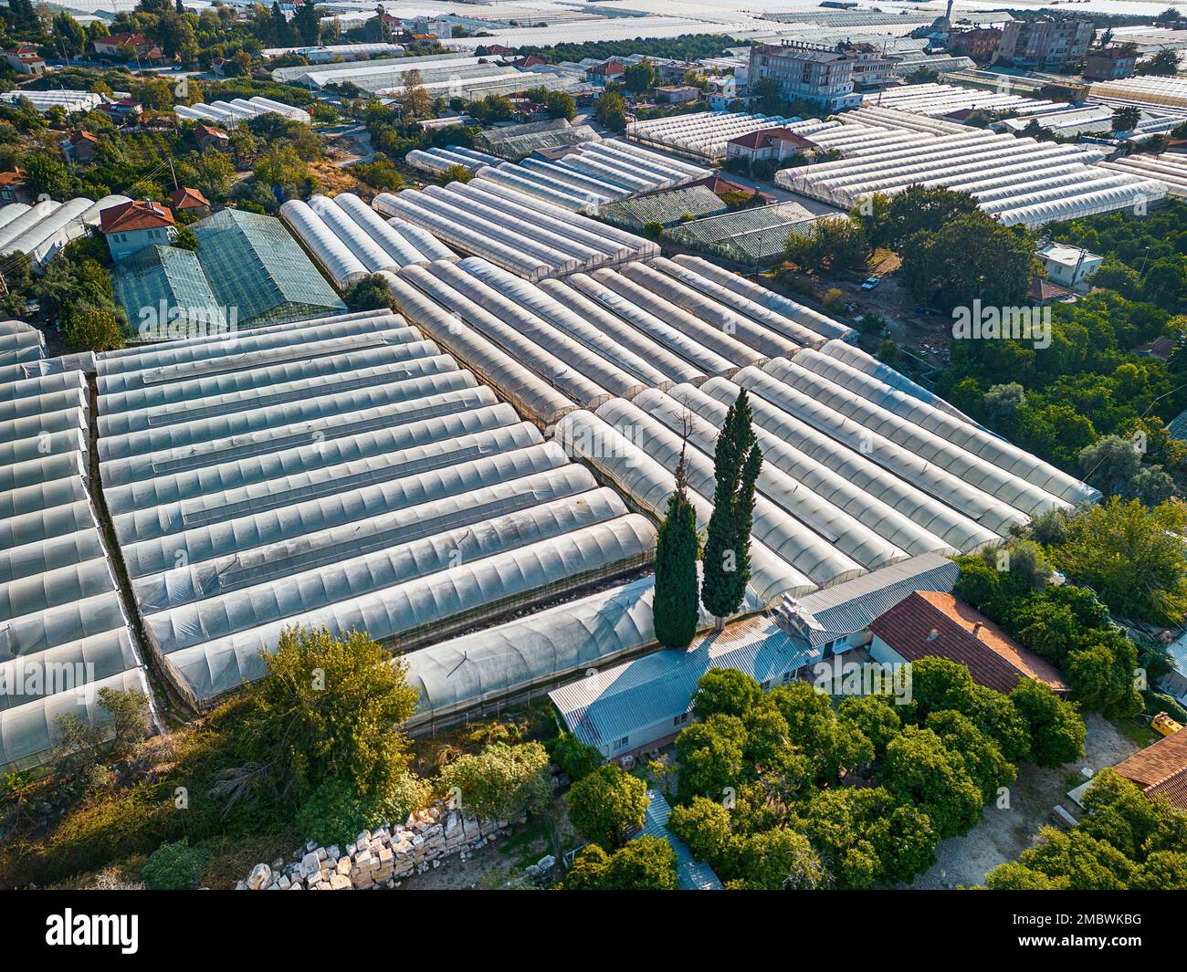 Vista aerea drone ad angolo alto dei campi di serra della piantagione verde in Demre - provincia di Antalya, Turchia Foto Stock