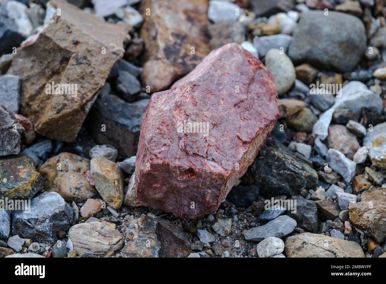Pietre del fiume o fondo di ciottoli. Sfondo naturale Foto Stock