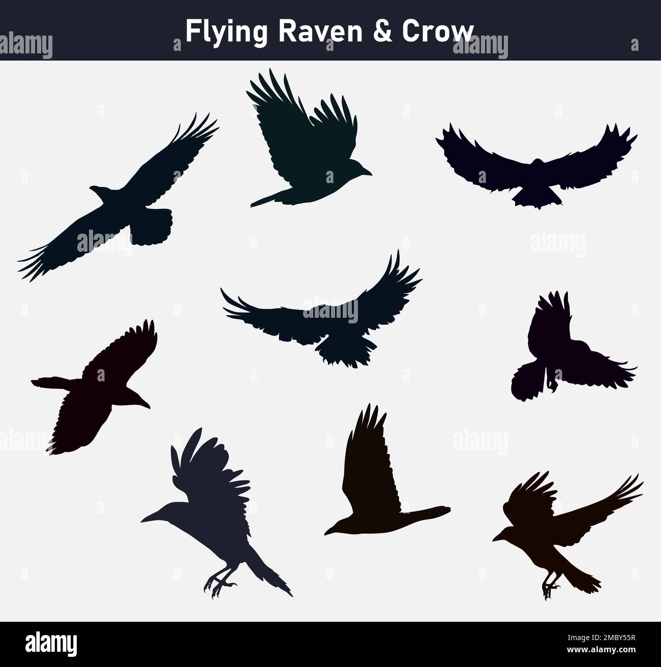 Flying Wild Raven Crow Birds Icon Set Illustrazione Vettoriale