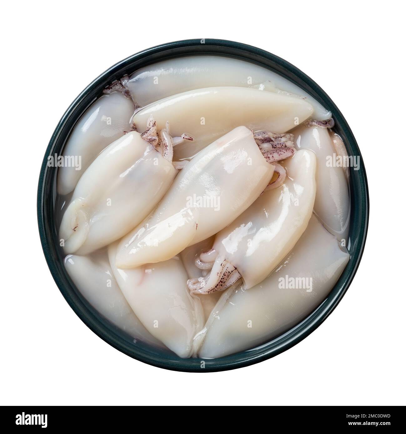 Tubetti di calamari freschi in una ciotola blu. Filetto di calamari crudo su un piatto isolato su sfondo bianco. Piccoli calamari preparati per la cottura. Vista dall'alto. Foto Stock