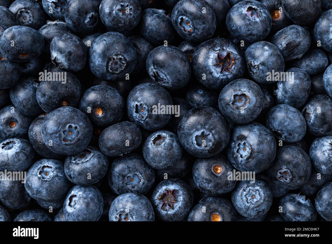 Sfondo fresco mirtilli. Consistenza di frutti di bosco maturi e succosi. Mirtillo dolce per dessert vegetariani e spuntini vitaminici vegani. Antiossidante naturale Foto Stock