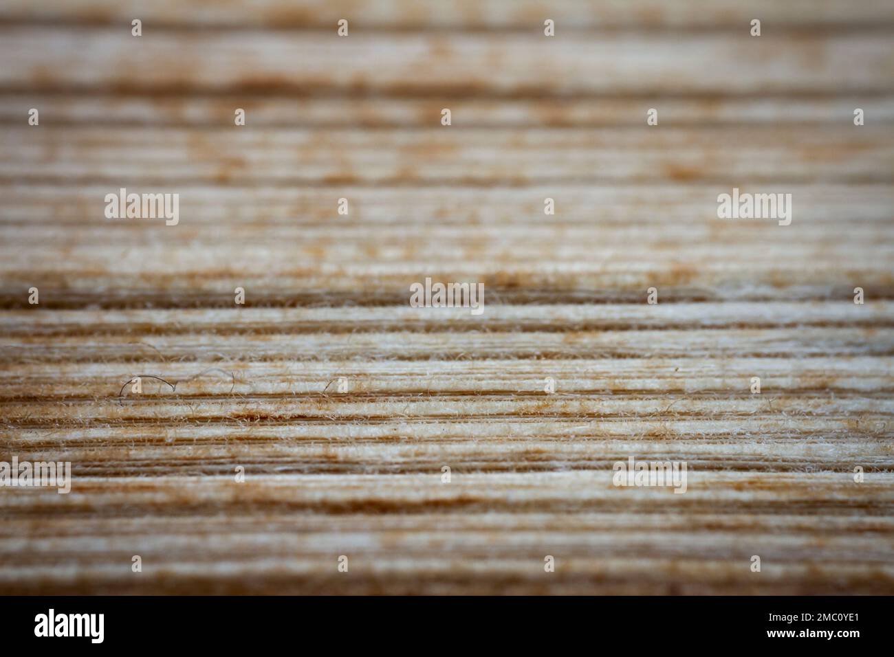 Primo piano estremo di un vecchio libro dal lato. Messa a fuoco morbida selettiva, profondità di campo ridotta. Bibliophile, sfondo astratto di bookworm Foto Stock