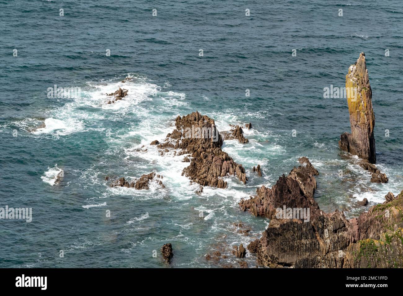 Selvaggia costa rocciosa nei pressi di Thurlestone nel Devon Foto Stock