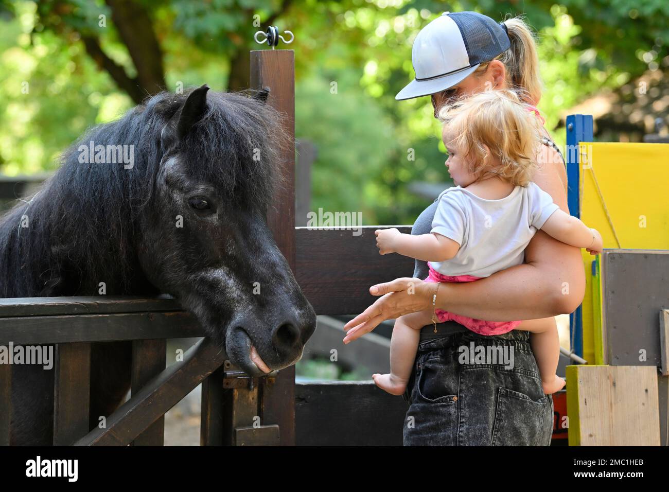 Madre con bambino, 10 mesi, a guardare pony, Stoccarda, Baden-Wuerttemberg, Germania Foto Stock