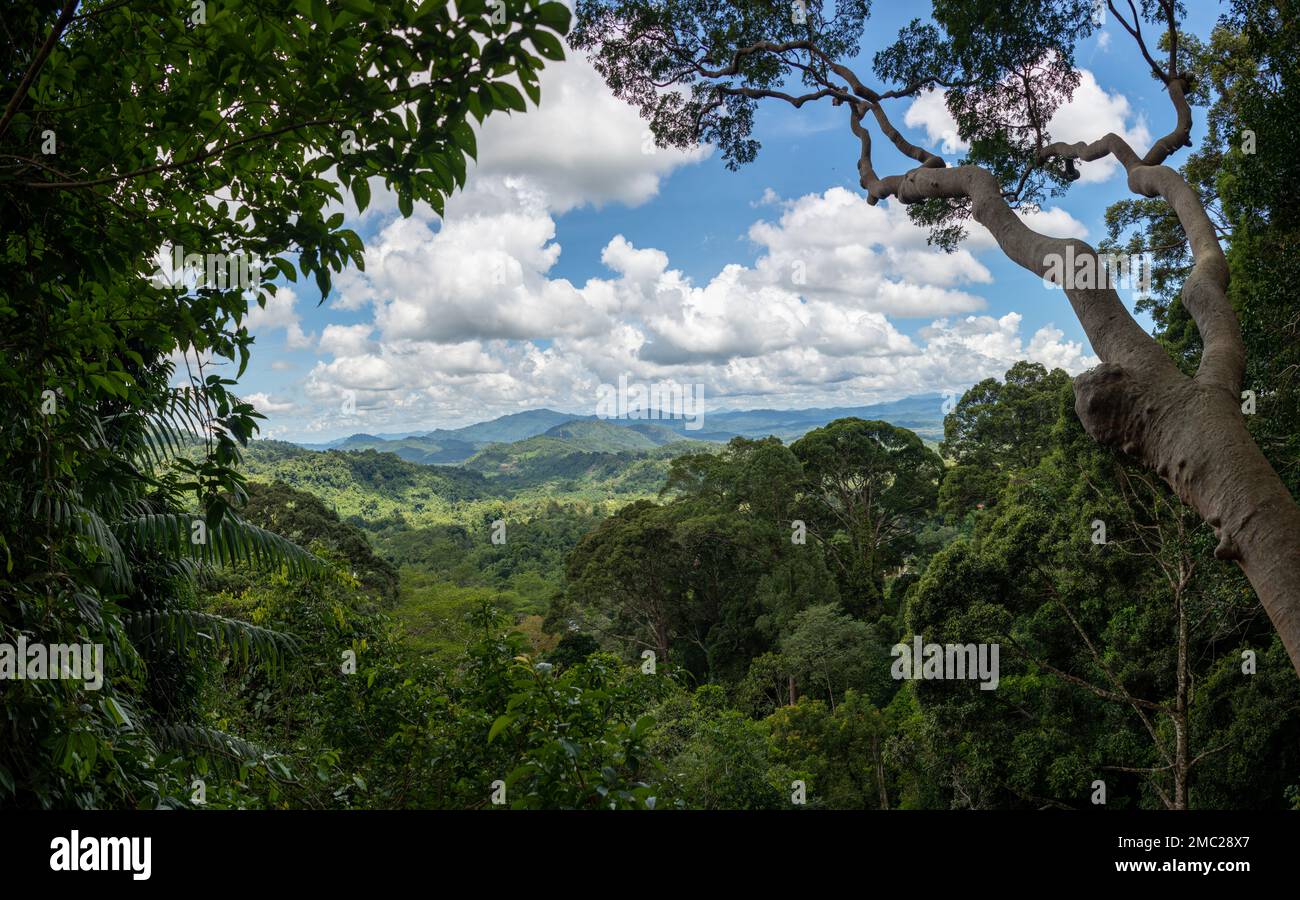 Parco Nazionale Kinalabu Paesaggio, Borneo, Malesia Foto Stock