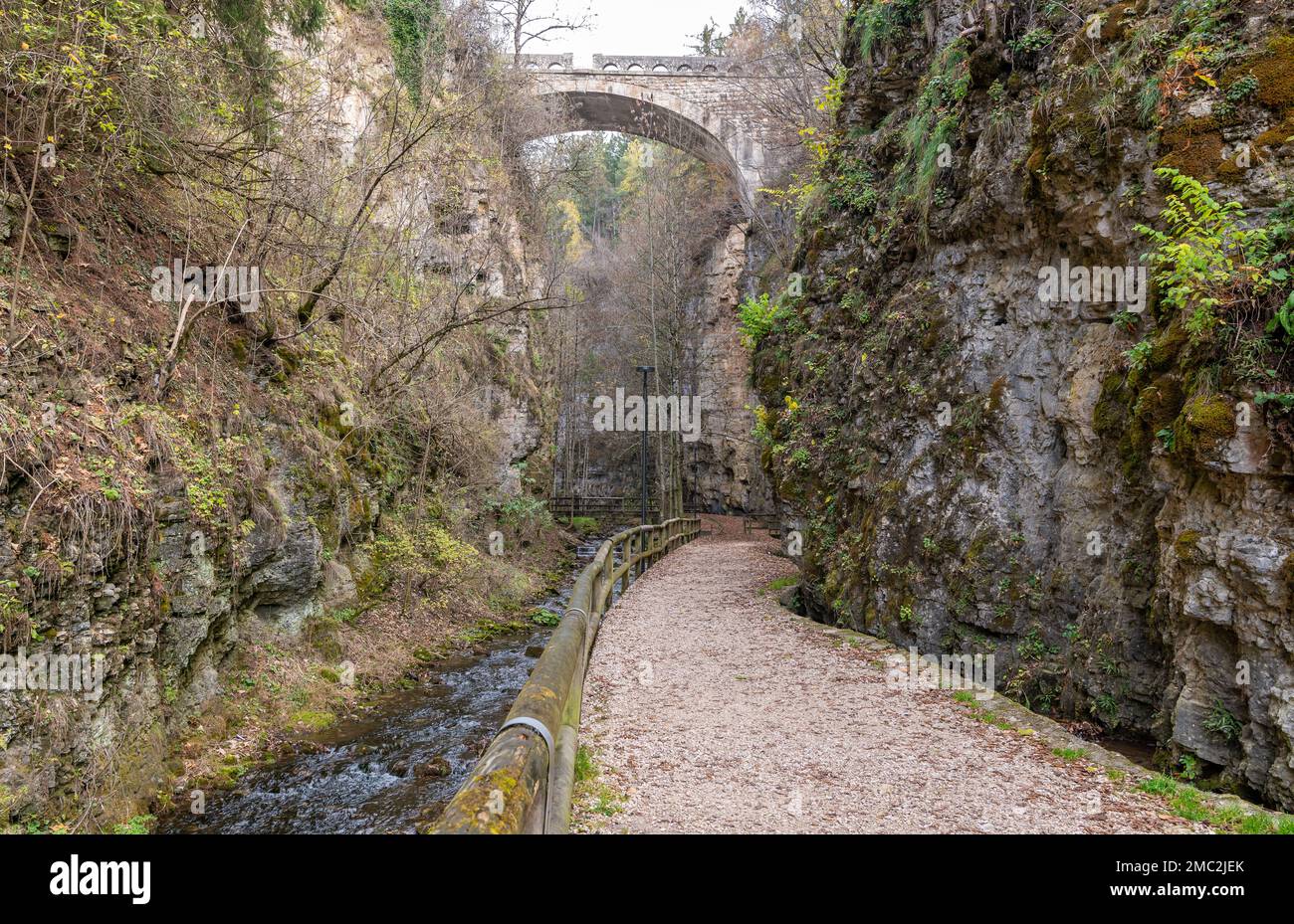 Canyon Rio Sass - Fondo (Borgo d'Anaunia) - non Valley - Trentino Alto Adige - Italia settentrionale: Un'escursione panoramica tra strette pareti rocciose. Foto Stock