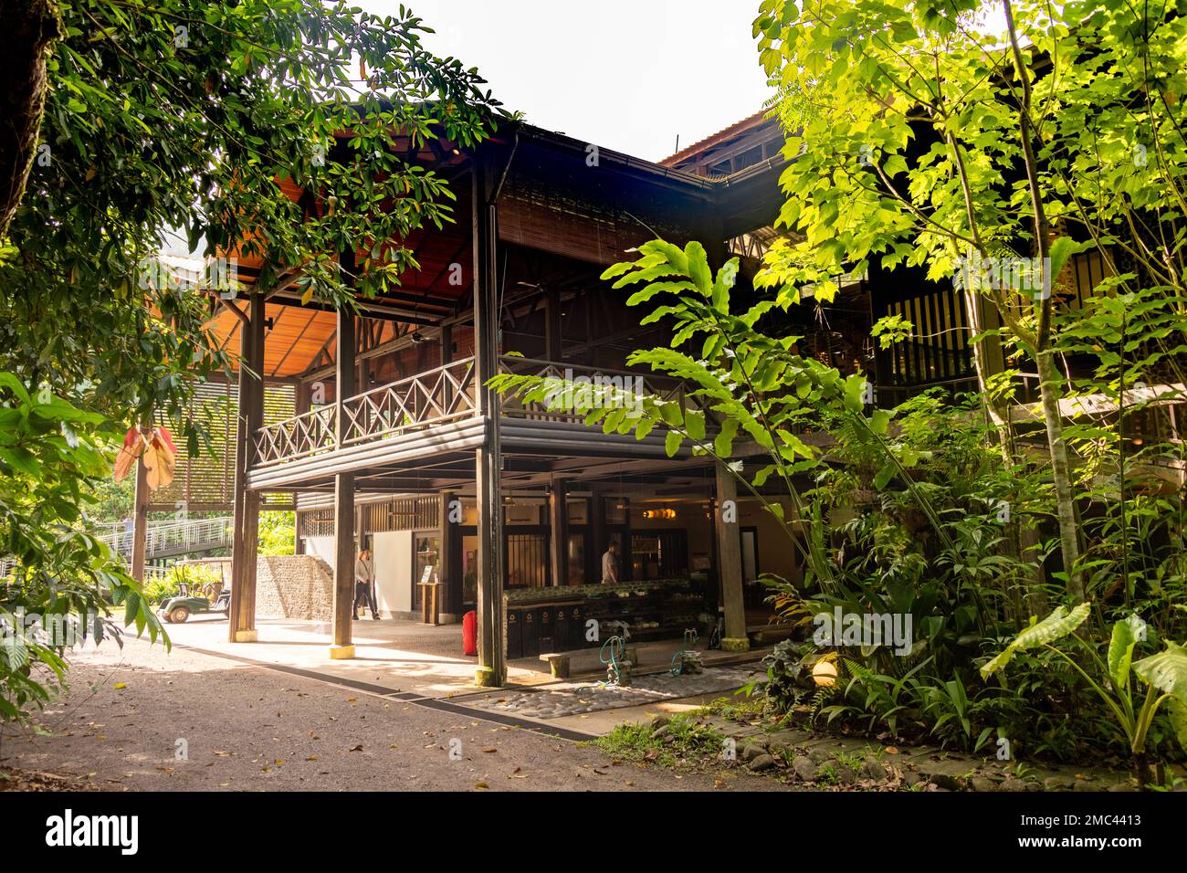 Borneo Rainforest Lodge, Danum Valley, Borneo Foto Stock