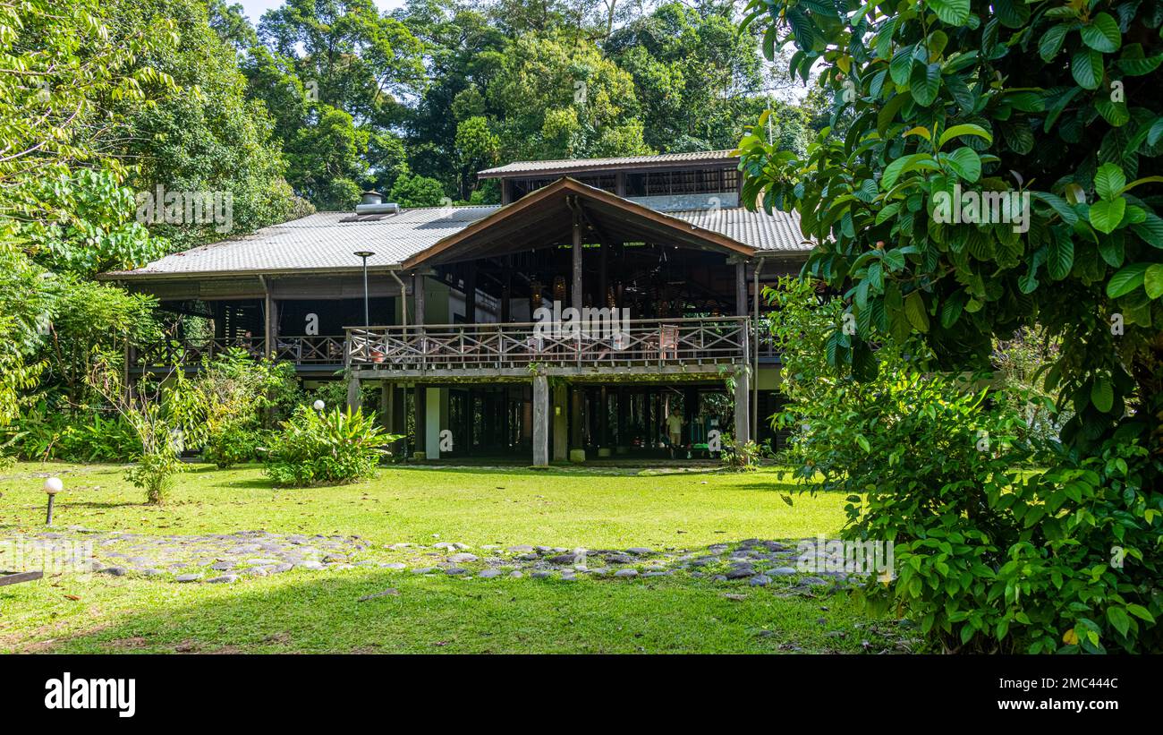 Borneo Rainforest Lodge, Danum Valley, Borneo Foto Stock