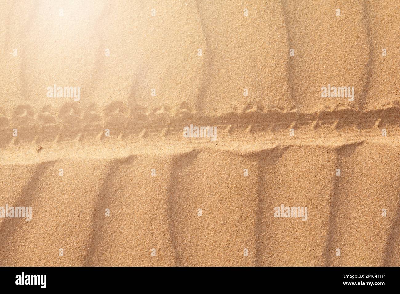 Pista ciclabile sulla sabbia nel deserto Foto Stock