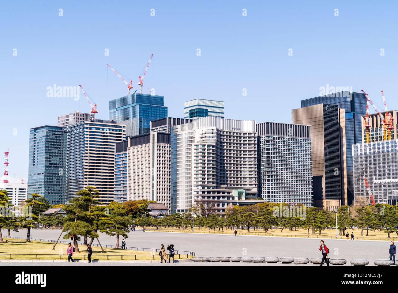 Vista diurna sul Giardino Kokyo Gaien presso il Palazzo Imperiale fino ai blocchi degli uffici di fronte al fossato (non visto). Tokyo. Cielo blu, sole. Foto Stock