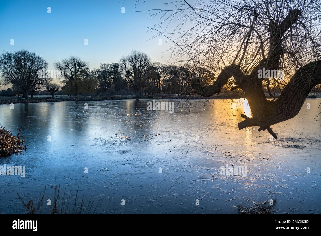Gioielli di ghiaccio mattutino su stagno in una gelida giornata di gennaio Foto Stock