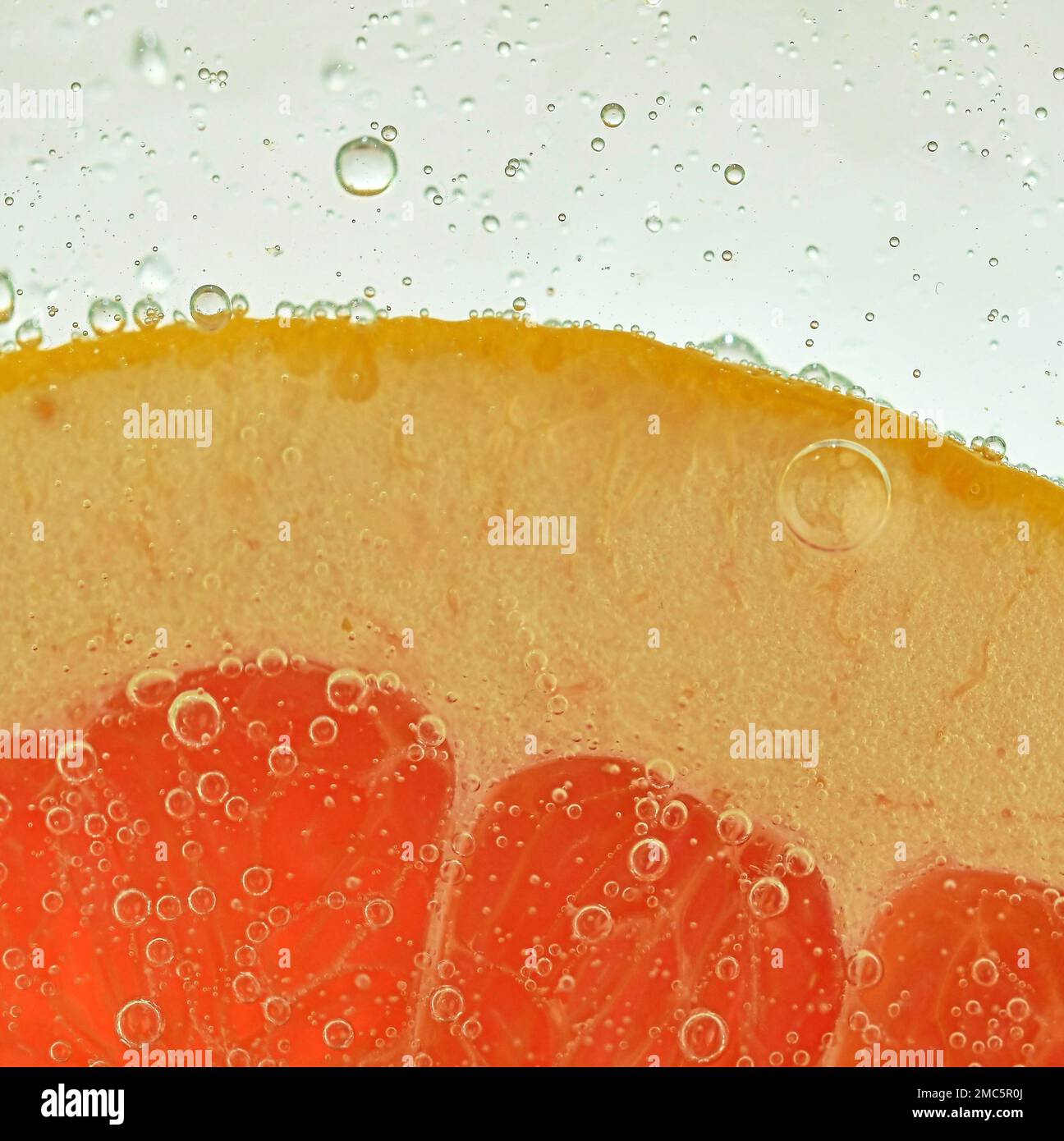 Vista ravvicinata della fetta di pompelmo rosso su sfondo acqua. Consistenza della bevanda rinfrescante alla frutta con macrofolle sulla parete di vetro. Design piatto. Foto Stock