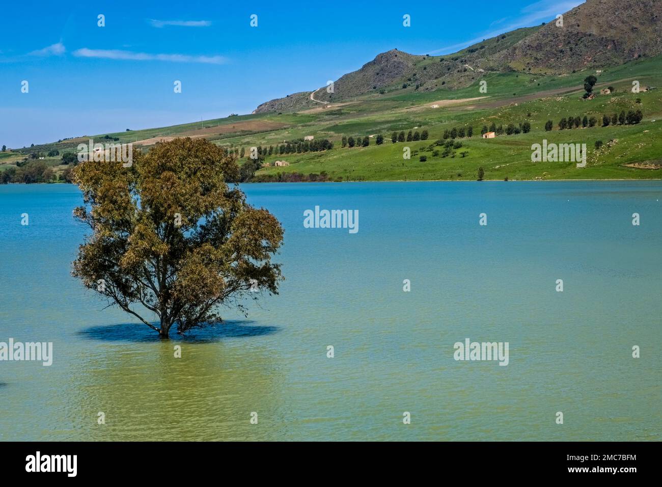 Paesaggio agricolo siciliano con un lago, verdi colline e un albero che cresce in acqua. Foto Stock
