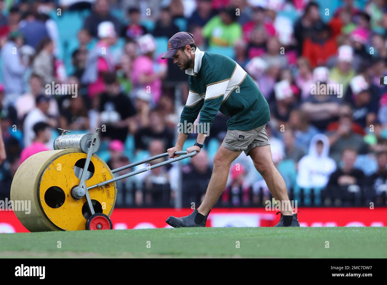 21st gennaio 2023; Sydney Cricket Ground, Sydney, NSW, Australia: Big Bash T20 League Cricket, Sydney Sixers contro Sydney Thunder; il personale di terra tira il wicket Foto Stock