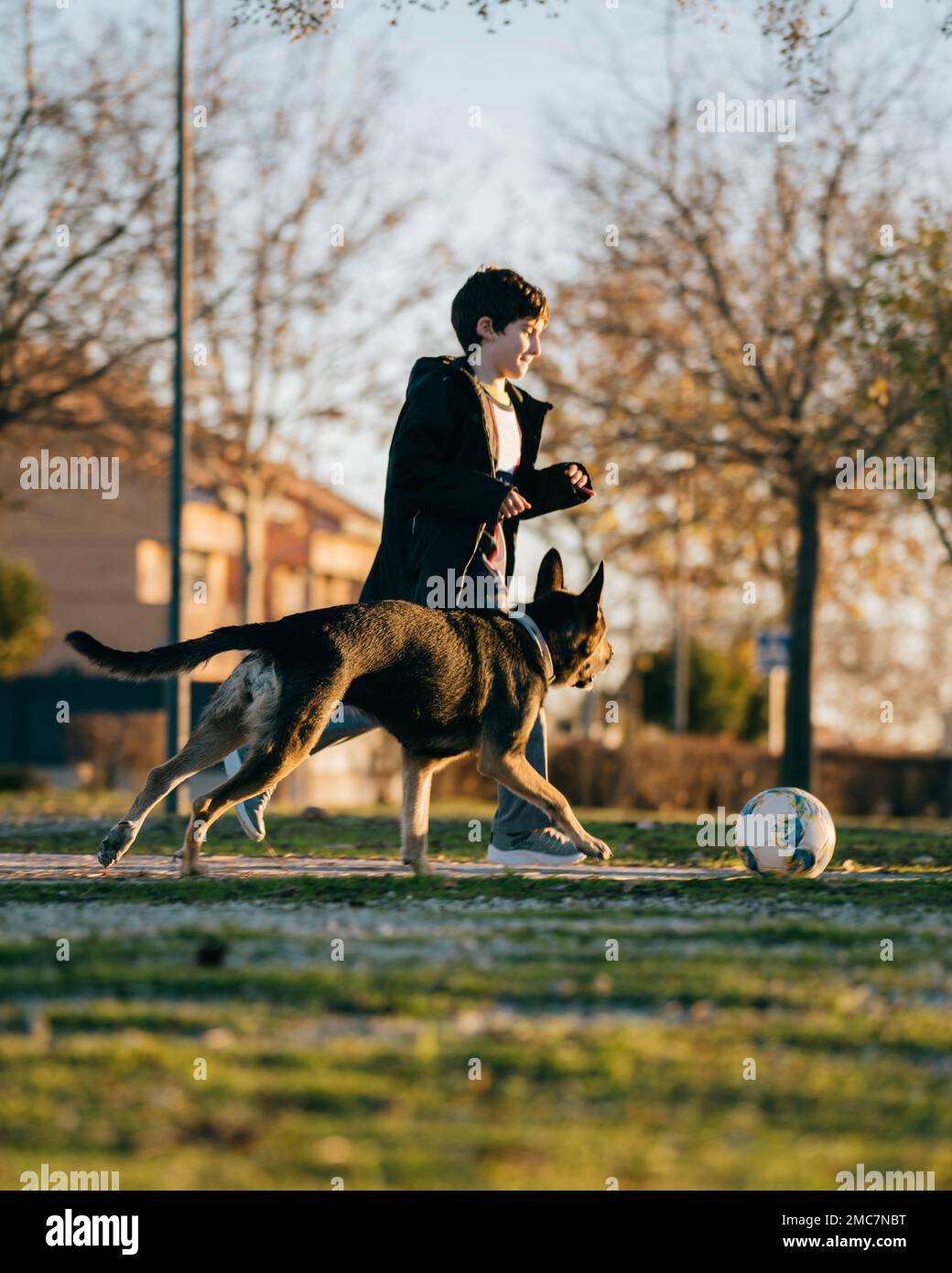 Messa a fuoco selettiva in movimento. Bambino che gioca a calcio con il cane in un parco Foto Stock