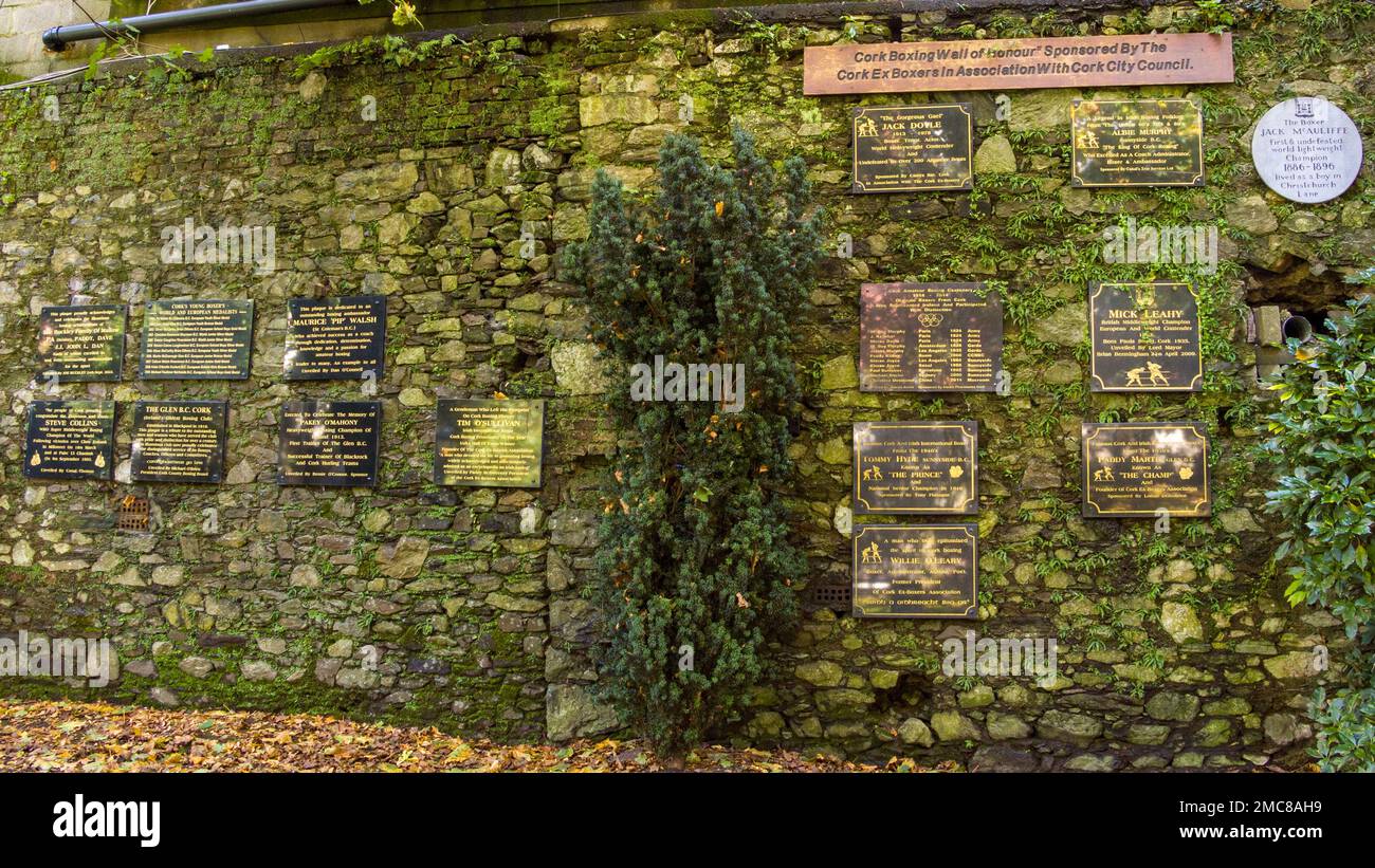 Cork, Irlanda, 30 settembre 2022. Cork boxing muro d'onore. Un muro con targhe commemorative in onore dei migliori pugili d'Irlanda a Cork Foto Stock