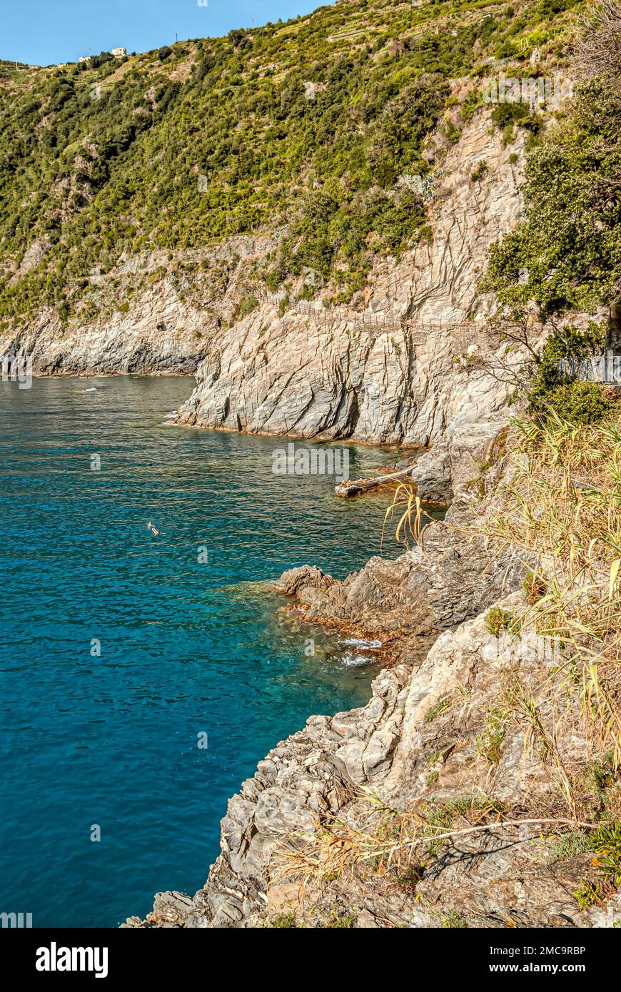 Ripide coste del Parco Nazionale delle cinque Terre vicino a Manarola, Liguria, Italia Foto Stock