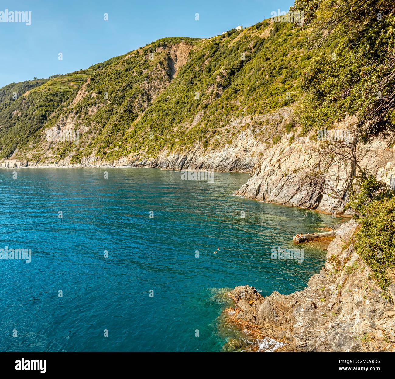 Ripide coste del Parco Nazionale delle cinque Terre vicino a Manarola, Liguria, Italia Foto Stock