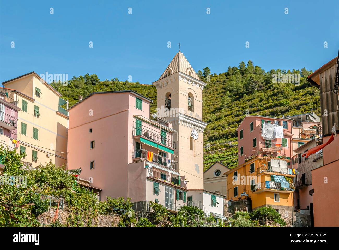 Chiesa di San Lorenzo (Chiesa di San Lorenzo) nel centro di Manarola, Liguria, Italia Foto Stock