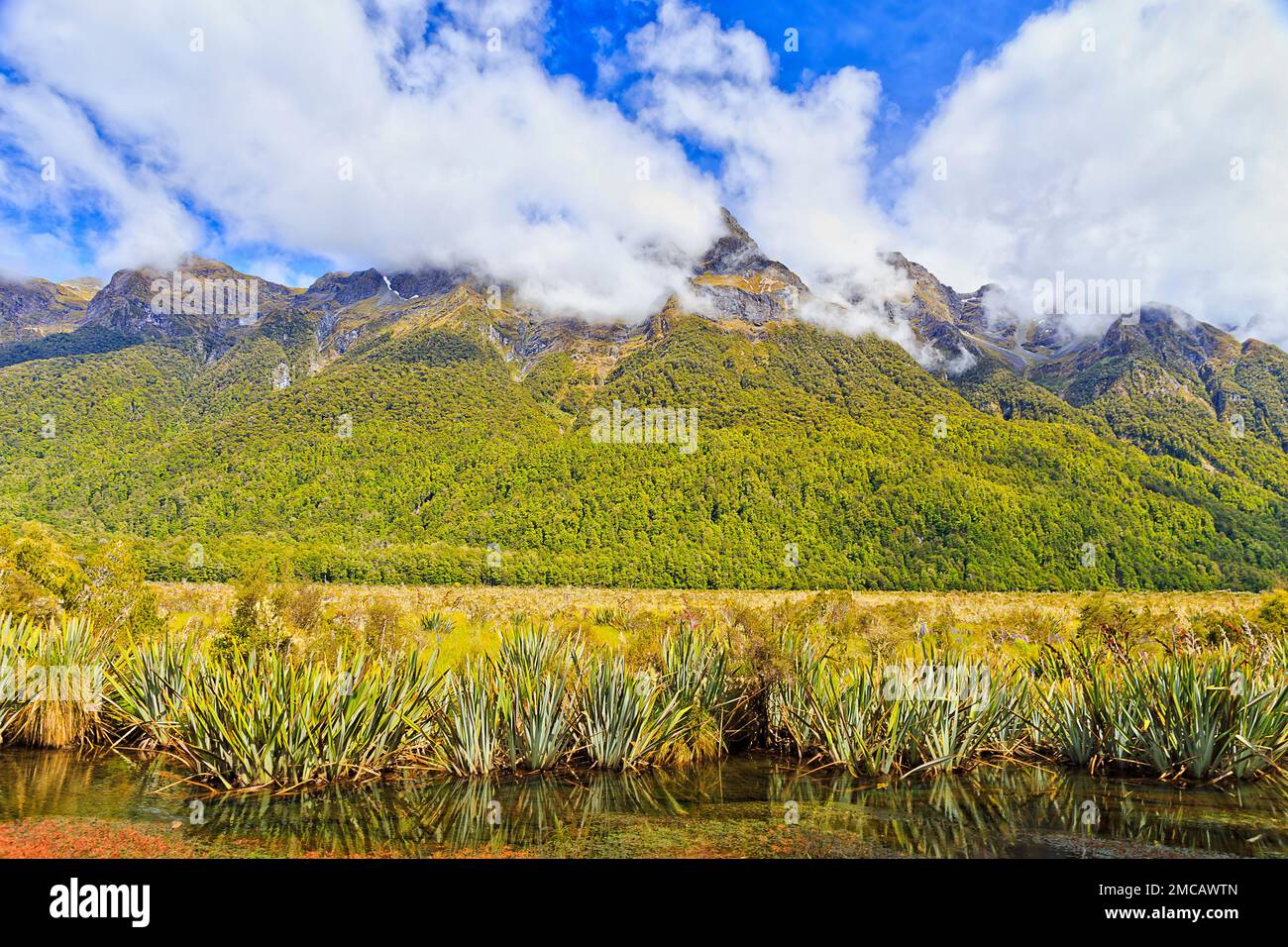Specchio laghi nella valle a Milford Sound fiordland della Nuova Zelanda - paesaggio montano panoramico. Foto Stock