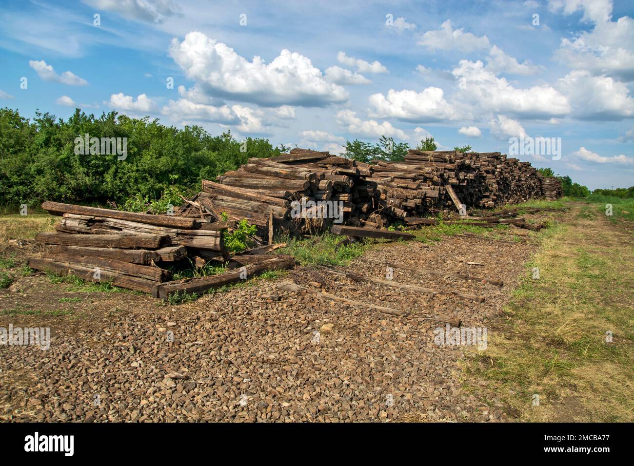 Vecchie traversine ferroviarie dalla ferrovia smantellata a Banat - Serbia. Foto Stock