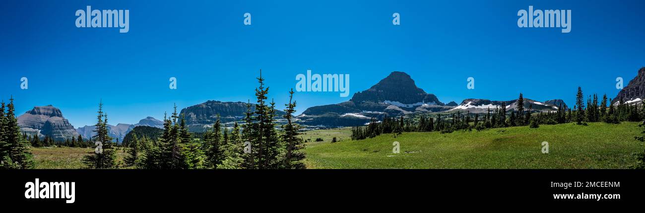 L'acqua sciolta dalla neve si è accumulata lungo il sentiero che porta al Logan Pass nel Glacier National Park, Montana, USA. Foto Stock