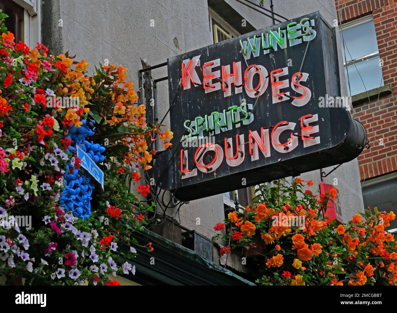 Kehoes Lounge pub segno in neon, Wines & Spirits, tradizionale irlandese watering hole, 9 Anne St S, Dublino, Eire, D02 NY88, Irlanda Foto Stock