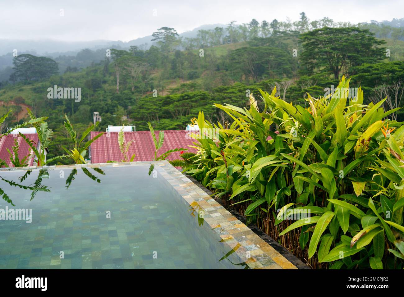 Splendida piscina all'aperto con vista sulla foresta di Kandy, Sri Lank Foto Stock