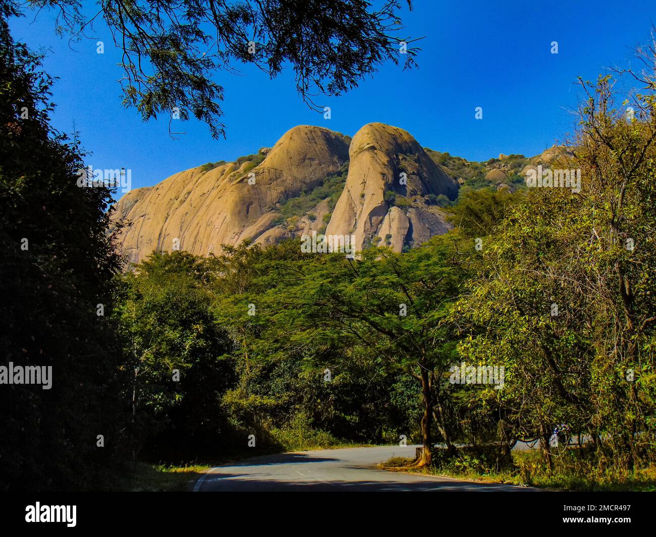 Savandurga è una collina a 60 km ad ovest di Bengaluru (Karnataka, India), al largo della strada Magadi in India. E' considerata una delle più grandi colline dell'Asia. Foto Stock