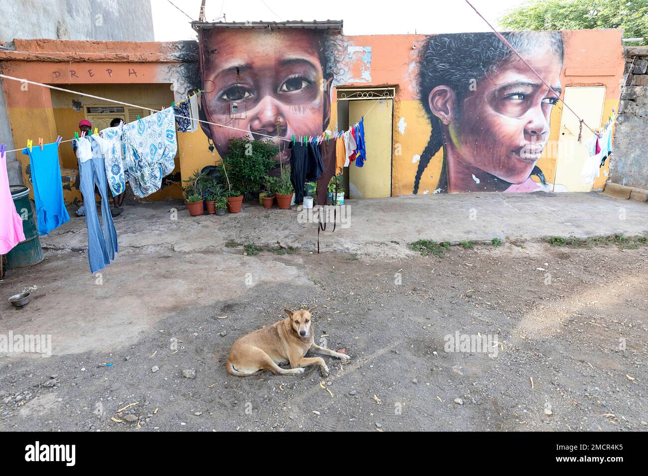 Cane rilassante di fronte a un murale bellissimo muro, Graffiti Wall, in una casa residenziale in Achada Grande Frente a Praia, isola di Santiago, Cabo verde Foto Stock