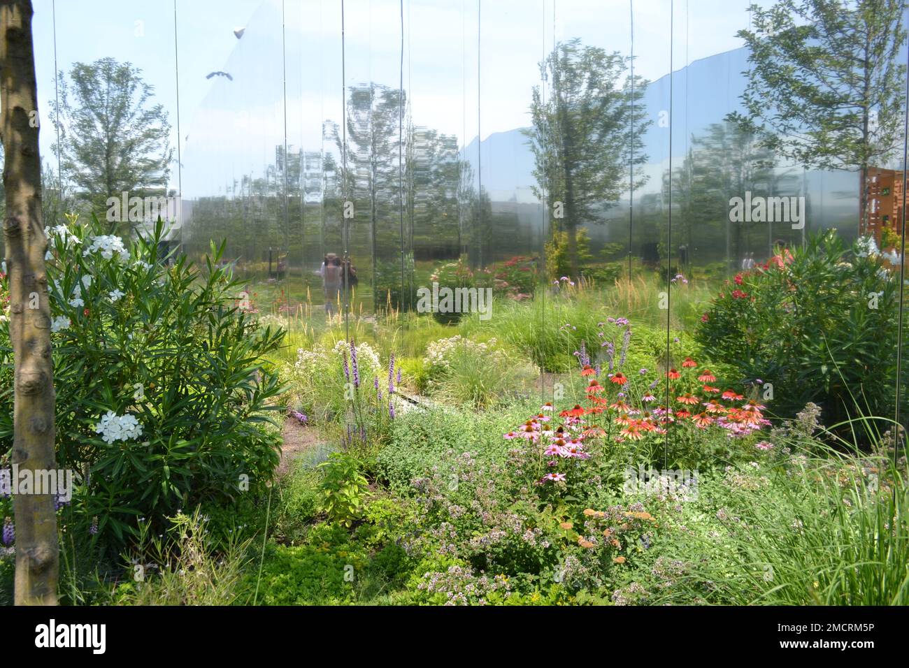 Padiglione Polacco Milano Expo 2015. Pittoresca disposizione del giardino interno. Specchi alti, giganti e grandi come le pareti del giardino estendono la visione. Foto Stock