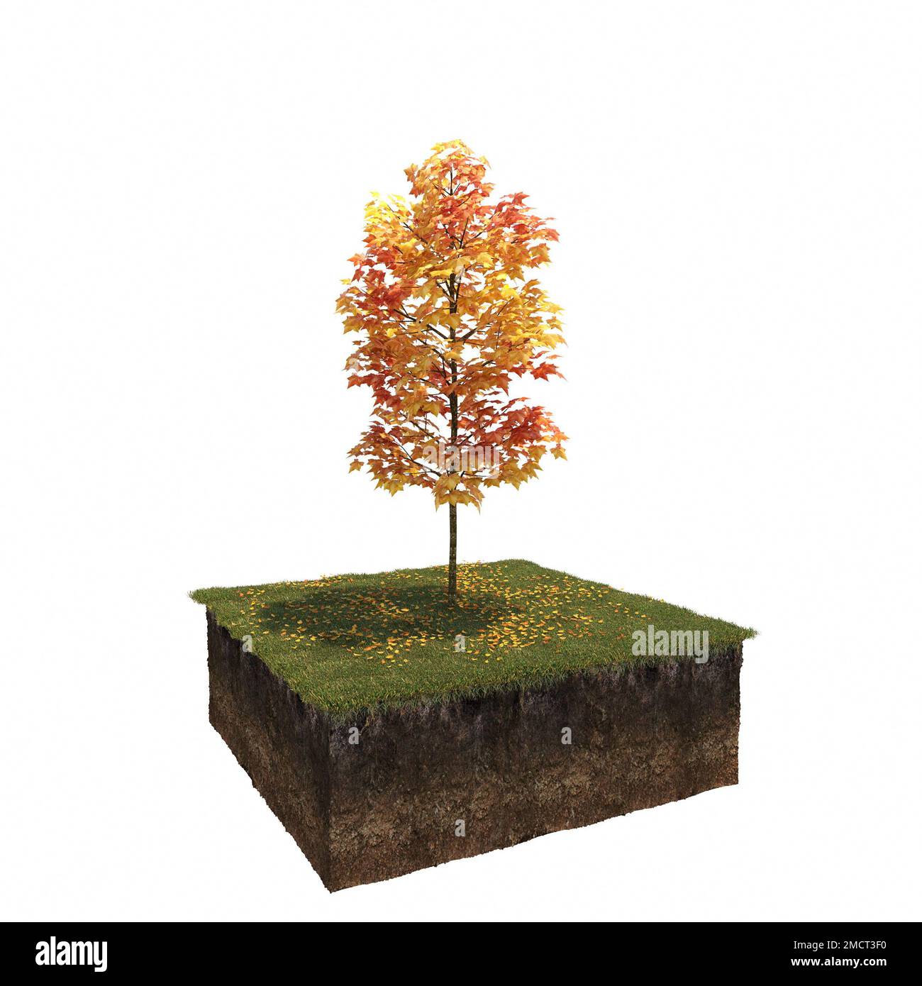 Autunno albero e suolo tagliato sotto di esso. Elemento giardino isolato, illustrazione 3D, rendering cg Foto Stock