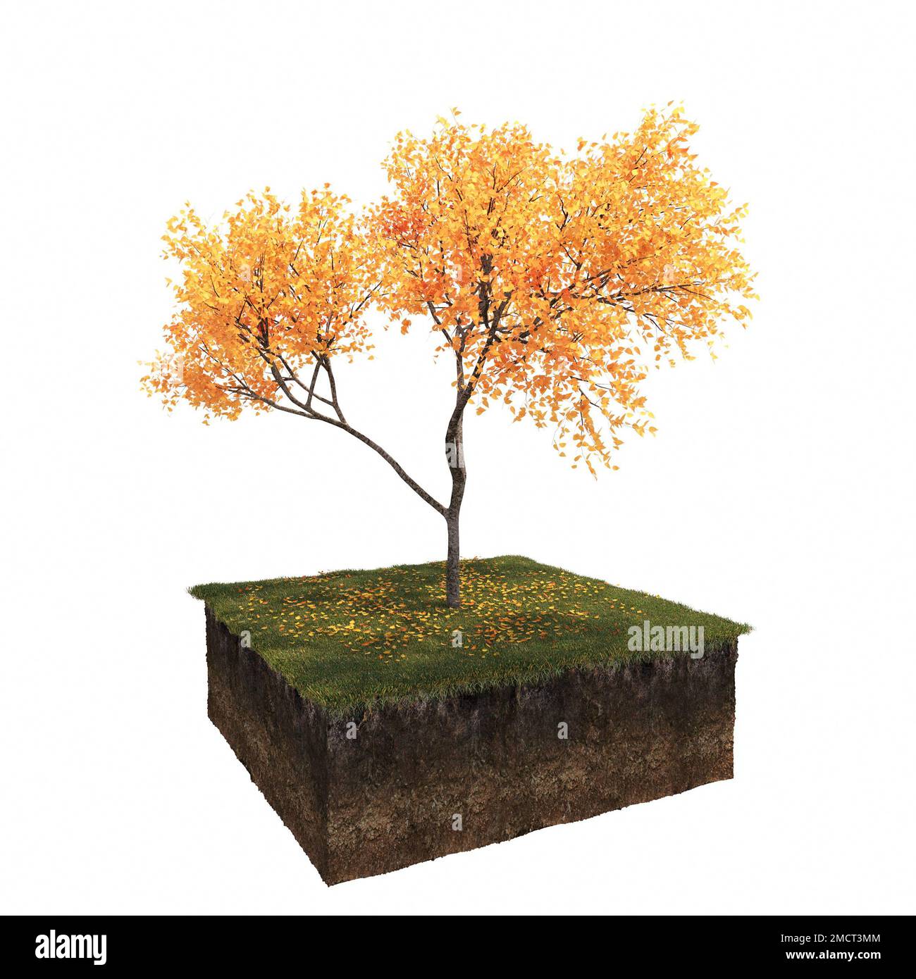 Autunno albero e suolo tagliato sotto di esso. Elemento giardino isolato, illustrazione 3D, rendering cg Foto Stock