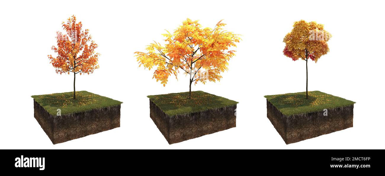 Autunno albero e suolo tagliato sotto di esso. Elemento giardino isolato, illustrazione 3D, rendering cg Foto Stock