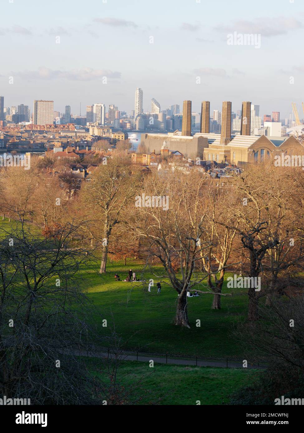 Vista dal Greenwhich Park con alberi in primo piano e un edificio con camini multipli dietro. Londra Inghilterra Foto Stock