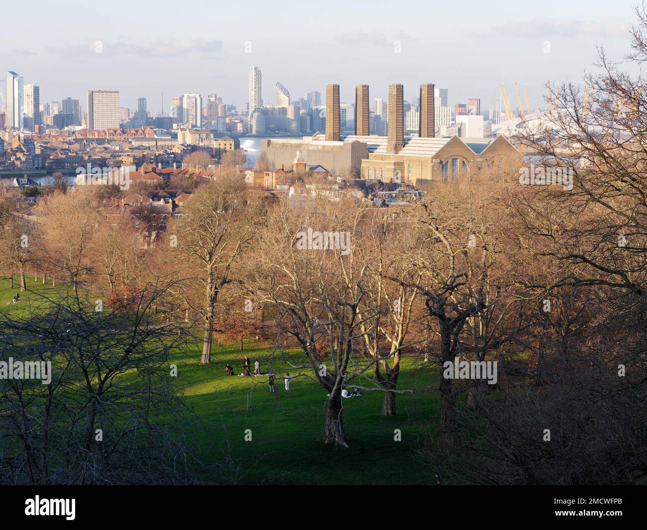 Vista dal Greenwhich Park con alberi in primo piano e un edificio con camini multipli dietro. Londra Inghilterra Foto Stock
