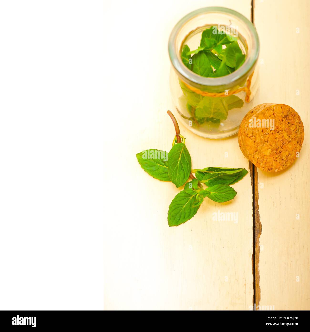 Foglie di menta fresca su una vetrata di un rustico tavolo di legno bianco Foto Stock