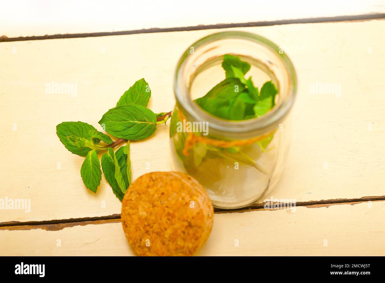 Foglie di menta fresca su una vetrata di un rustico tavolo di legno bianco Foto Stock