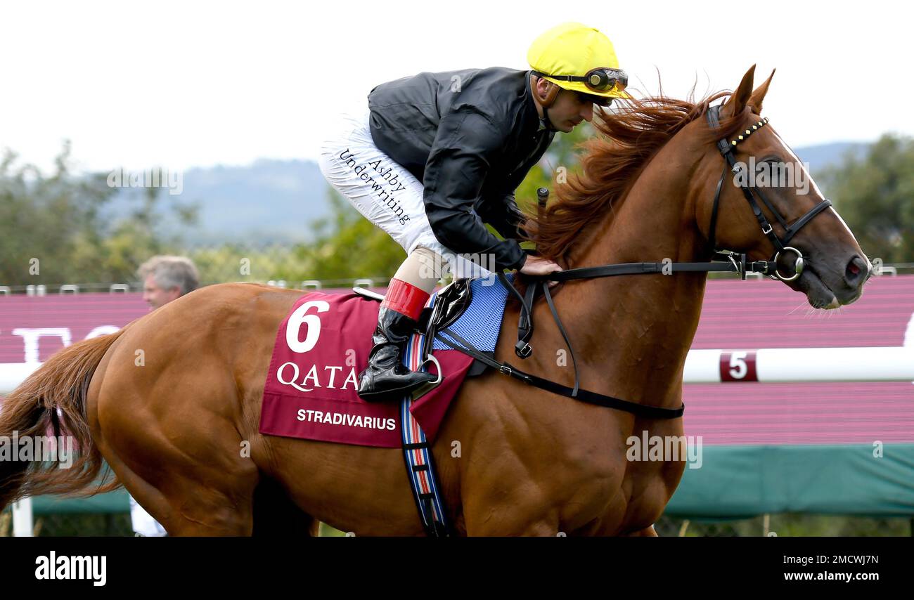 Qatar Goodwood Festival Meeting 26th luglio 2022 al Goodwood Racecourse, Chichester - Day One - Jockey Andrea Atzeni su Stradivarius prima del al Shaqab Goodwood Cup Stakes Foto Stock