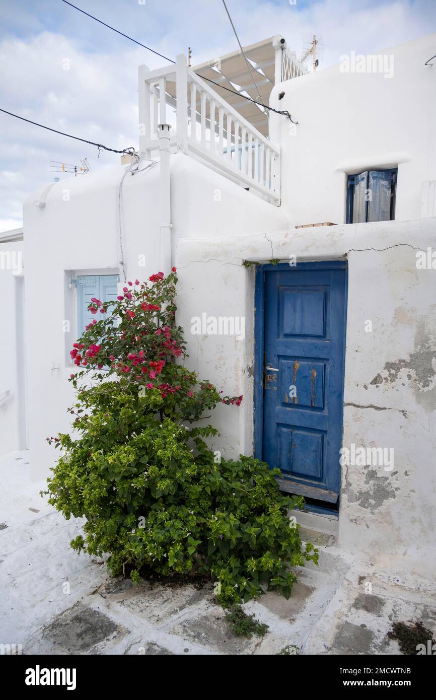 Facciata della casa con porta d'ingresso blu, persiane e fiori, le case bianche delle Cicladi, i vicoli della città vecchia di Chora, Mykonos, Mykonos, Cicladi Foto Stock