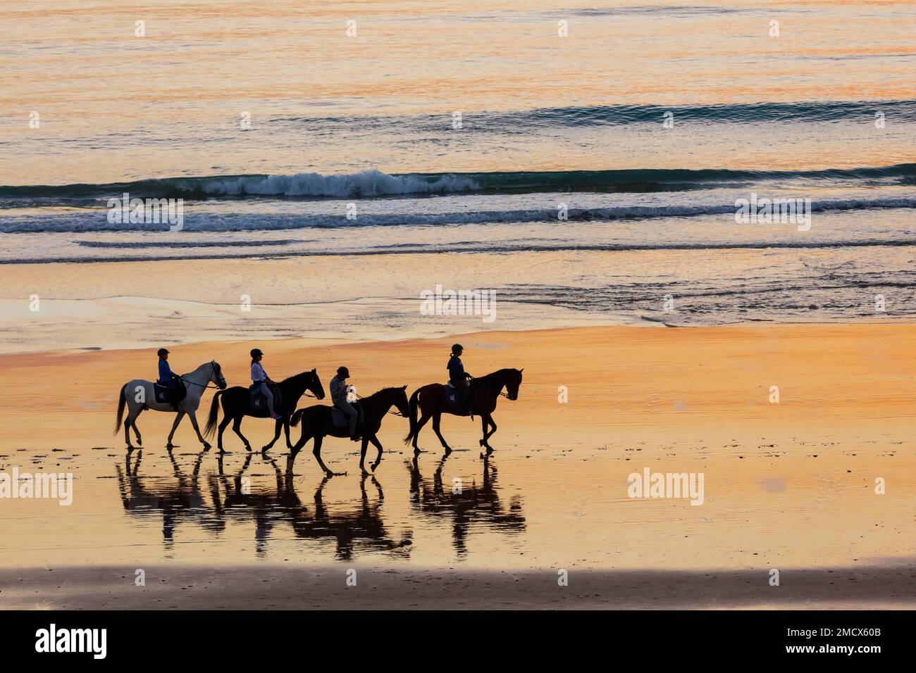 Cavalieri sulla spiaggia, cavalli, tramonto, silhouette, Chiclana de la Frontera, Costa de la Luz, Cadice, Andalusia, Spagna Foto Stock